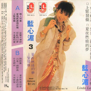 中文人妻AV久久人妻水密桃
